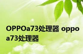 OPPOa73处理器 oppoa73处理器 