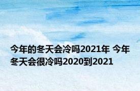 今年的冬天会冷吗2021年 今年冬天会很冷吗2020到2021 