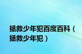 拯救少年犯百度百科（拯救少年犯）