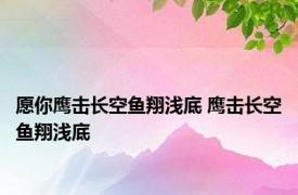 愿你鹰击长空鱼翔浅底 鹰击长空鱼翔浅底 