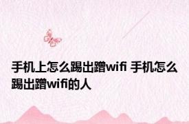 手机上怎么踢出蹭wifi 手机怎么踢出蹭wifi的人