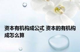 资本有机构成公式 资本的有机构成怎么算