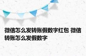 微信怎么发转账假数字红包 微信转账怎么发假数字 