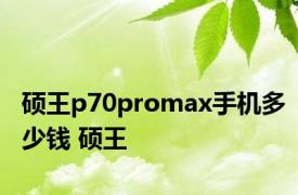 硕王p70promax手机多少钱 硕王 