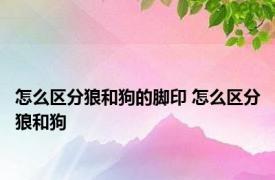 怎么区分狼和狗的脚印 怎么区分狼和狗