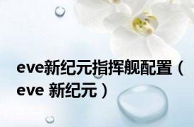 eve新纪元指挥舰配置（eve 新纪元）