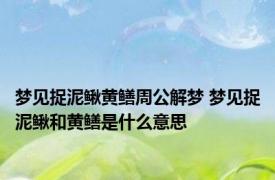 梦见捉泥鳅黄鳝周公解梦 梦见捉泥鳅和黄鳝是什么意思