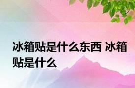 冰箱贴是什么东西 冰箱贴是什么