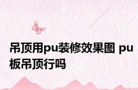 吊顶用pu装修效果图 pu板吊顶行吗