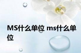 MS什么单位 ms什么单位