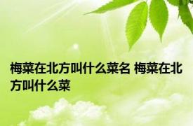 梅菜在北方叫什么菜名 梅菜在北方叫什么菜 