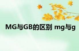 MG与GB的区别 mg与g 