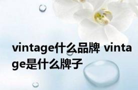 vintage什么品牌 vintage是什么牌子