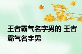 王者霸气名字男的 王者霸气名字男 