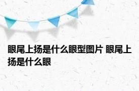 眼尾上扬是什么眼型图片 眼尾上扬是什么眼