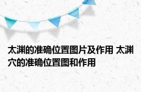 太渊的准确位置图片及作用 太渊穴的准确位置图和作用