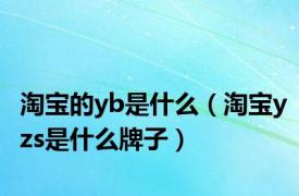 淘宝的yb是什么（淘宝yzs是什么牌子）