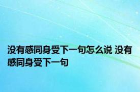 没有感同身受下一句怎么说 没有感同身受下一句 