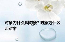 对象为什么叫对象? 对象为什么叫对象 