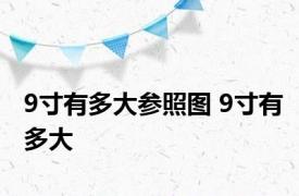 9寸有多大参照图 9寸有多大