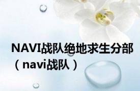 NAVI战队绝地求生分部（navi战队）