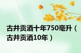 古井贡酒十年750毫升（古井贡酒10年）