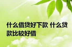 什么借贷好下款 什么贷款比较好借