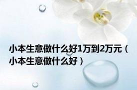 小本生意做什么好1万到2万元（小本生意做什么好）