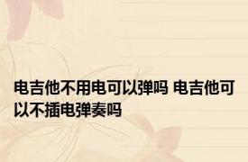 电吉他不用电可以弹吗 电吉他可以不插电弹奏吗