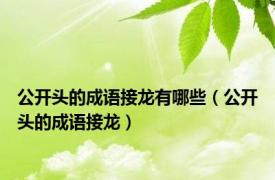 公开头的成语接龙有哪些（公开头的成语接龙）