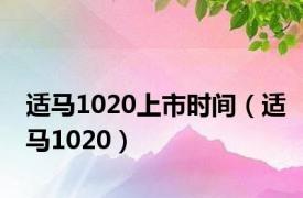 适马1020上市时间（适马1020）