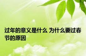 过年的意义是什么 为什么要过春节的原因