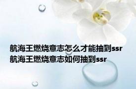 航海王燃烧意志怎么才能抽到ssr 航海王燃烧意志如何抽到ssr