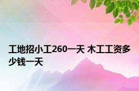 工地招小工260一天 木工工资多少钱一天 