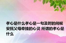 孝心是什么孝心是一句及时的问候安抚父母牵挂的心灵 所谓的孝心是什么