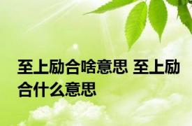 至上励合啥意思 至上励合什么意思