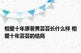 相爱十年原著黄芸芸长什么样 相爱十年芸芸的结局