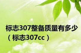 标志307整备质量有多少（标志307cc）