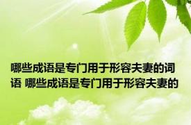 哪些成语是专门用于形容夫妻的词语 哪些成语是专门用于形容夫妻的