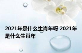 2021年是什么生肖年呀 2021年是什么生肖年 