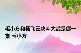 毛小方和杨飞云决斗大战是哪一集 毛小方 