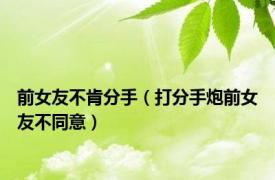 前女友不肯分手（打分手炮前女友不同意）