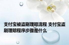 支付宝被盗刷理赔流程 支付宝盗刷理赔程序步骤是什么