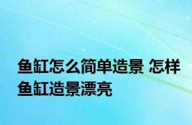 鱼缸怎么简单造景 怎样鱼缸造景漂亮