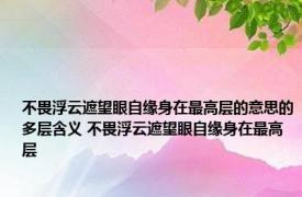 不畏浮云遮望眼自缘身在最高层的意思的多层含义 不畏浮云遮望眼自缘身在最高层 