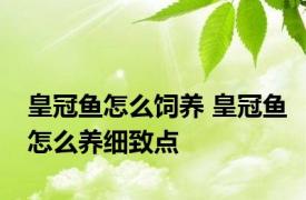 皇冠鱼怎么饲养 皇冠鱼怎么养细致点