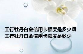 工行牡丹白金信用卡额度是多少啊 工行牡丹白金信用卡额度是多少