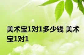 美术宝1对1多少钱 美术宝1对1 