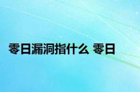 零日漏洞指什么 零日 