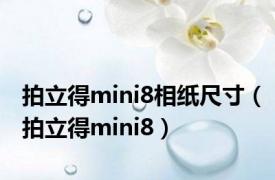 拍立得mini8相纸尺寸（拍立得mini8）